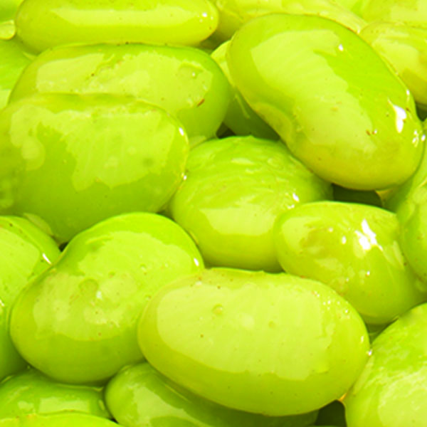 Medium Green Lima Beans