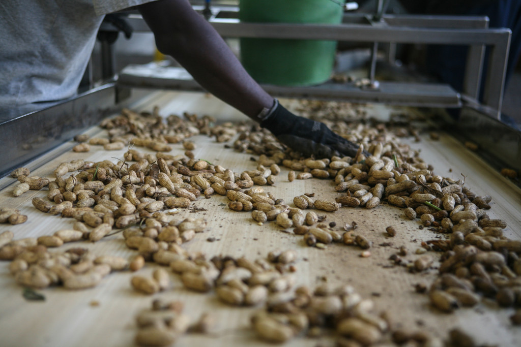 IMG_0428 - McCall Farms