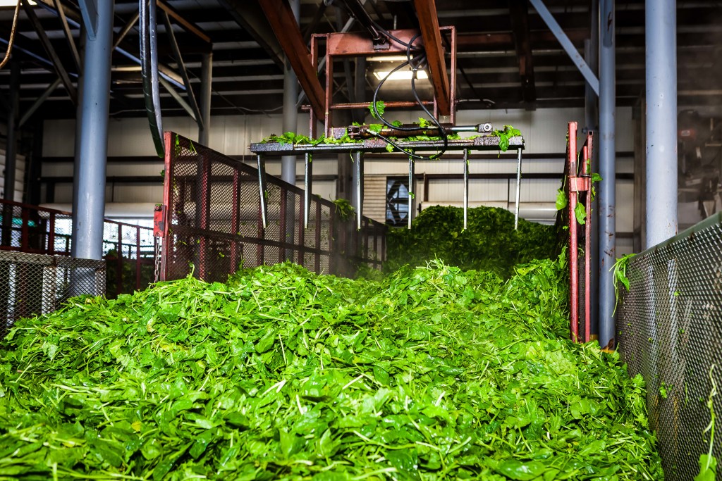 MCCALL576 McCall Farms