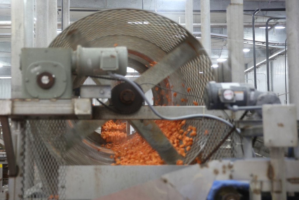 MERT0079 McCall Farms