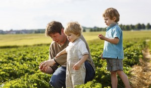 Man and Children on Strawberry Farm