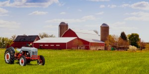 Farmland with Barn