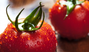 Fresh Tomatoes