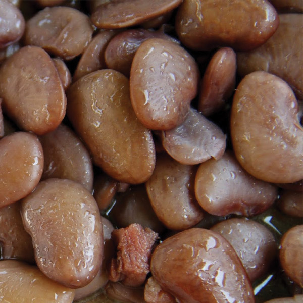 Butter beans speckled McCall Farms