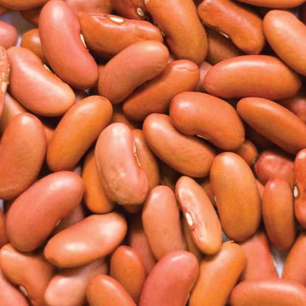 Kidney Beans – Light Red