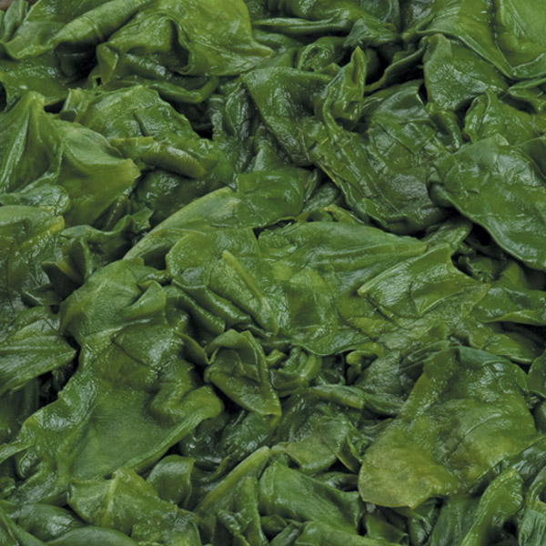 Spinach – Chopped