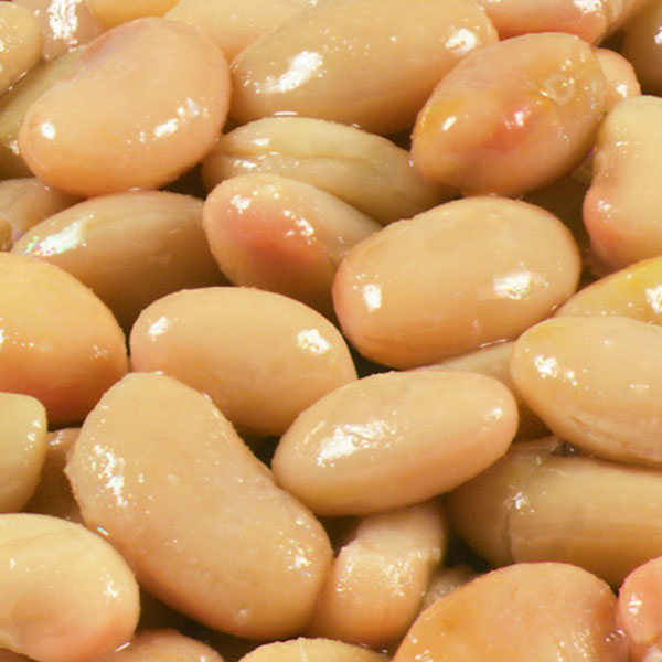 Great Northern Beans